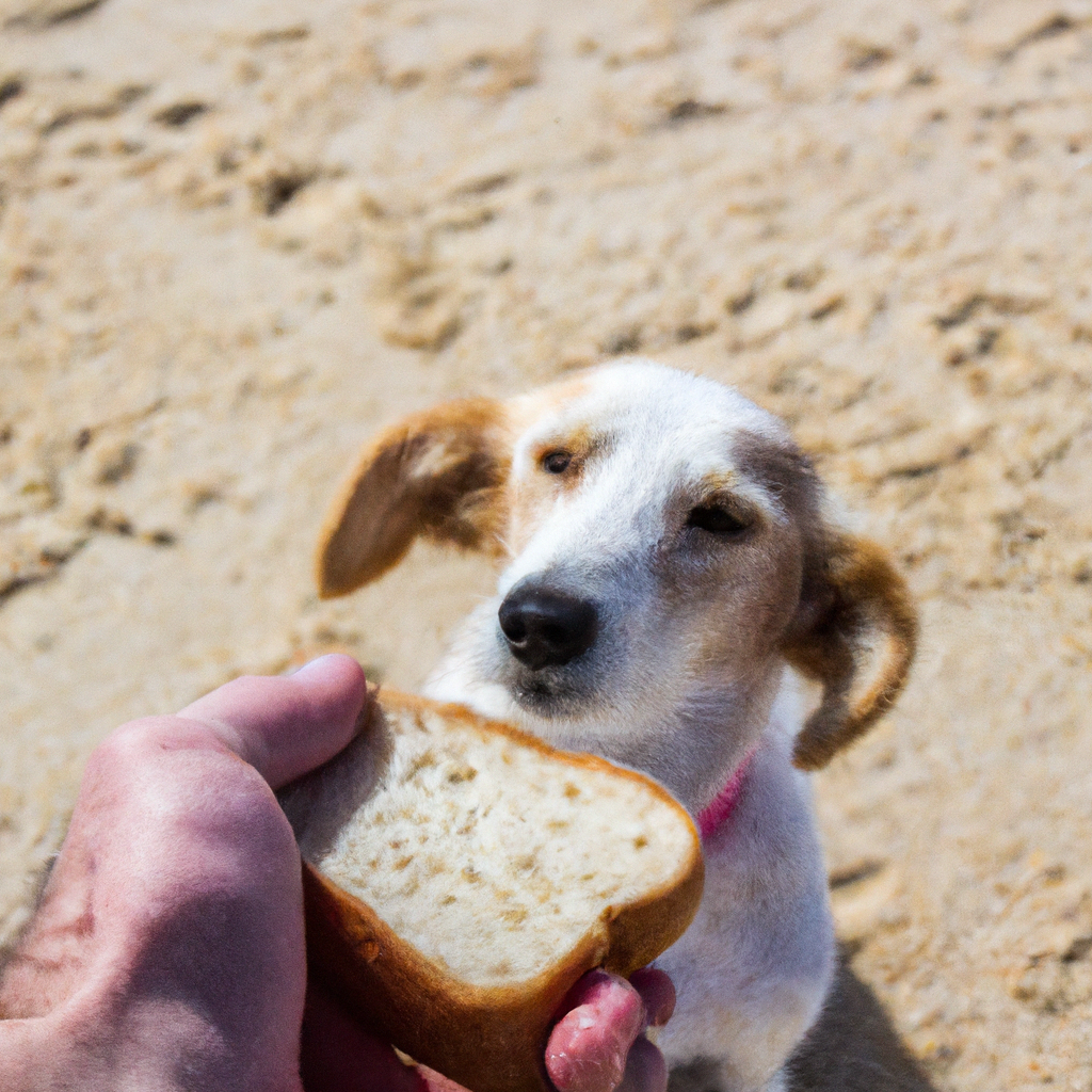 Estratégias para evitar ⁢que seu cachorro consuma pão acidentalmente