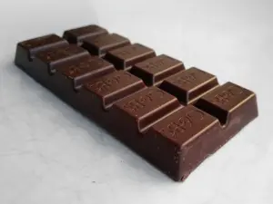 Cachorro comeu chocolate: por que é perigoso e como agir
